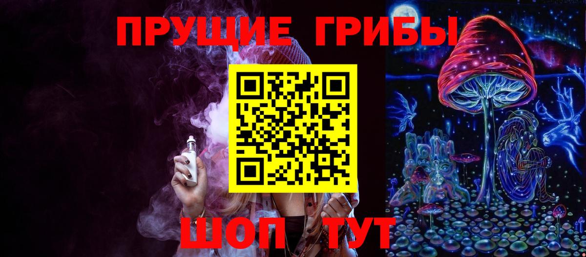 Назарово  Галлюциногенные грибы Psilocybine cubensis  Псилоцибиновые грибы прущие грибы  Вход с VPN 